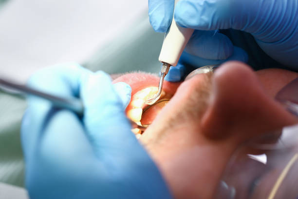 Best Emergency Dental Services Near Me  in Mlstadt, IL