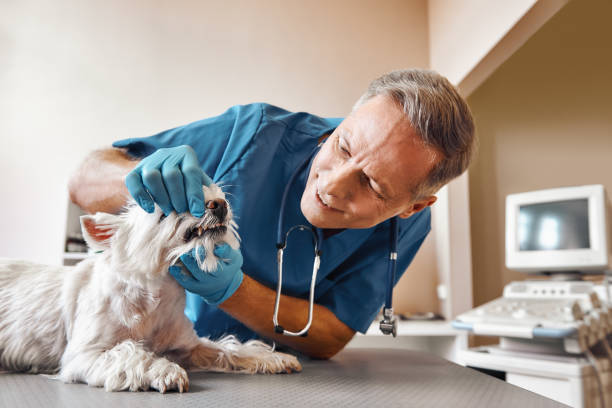 Best Dentist for Tooth Abscess  in Mlstadt, IL