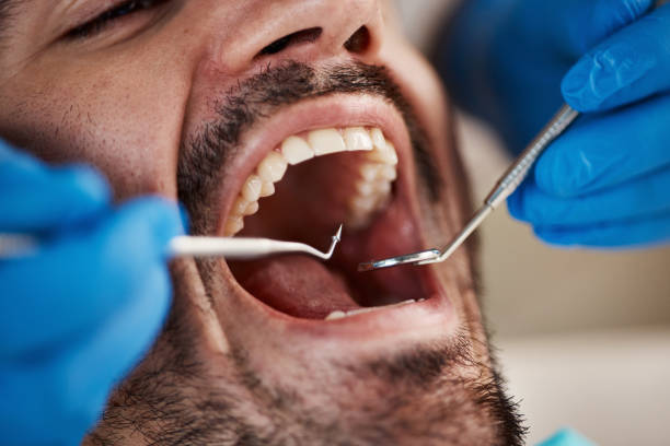 Best Dentist Open Late Near Me  in Mlstadt, IL